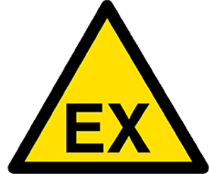 EX Symbol 1